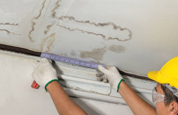 Affordable Water Damage Repair solutions in Wanette, OK